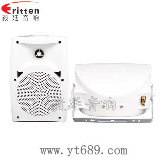 8''中低音舞臺(tái)音箱喇叭廠家正反面