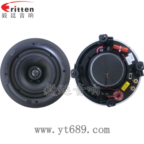 8''250w 重低音喇叭正反面