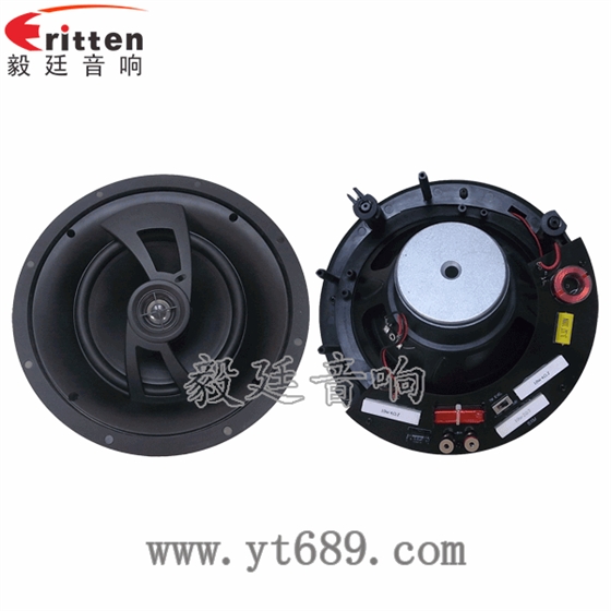 2路8寸吊頂喇叭正反面 8''250w 重低音喇叭正反面