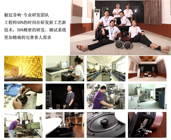 53mm8w學(xué)習(xí)機(jī)喇叭 53mm8w學(xué)習(xí)機(jī)喇叭