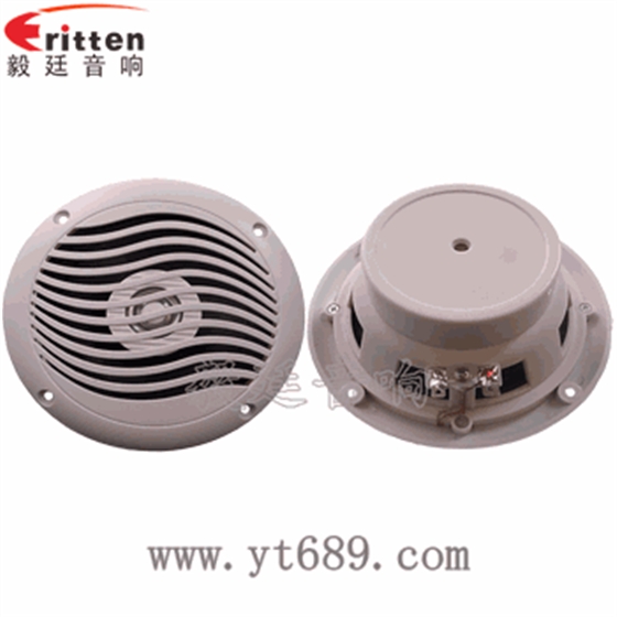 &ldquo;納尼&rdquo;毅廷完美喇叭功放！！