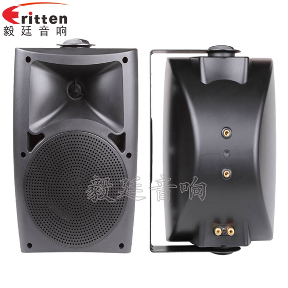 5.25寸墻壁音箱正反面 8''中低音舞臺音箱喇叭廠家正反面