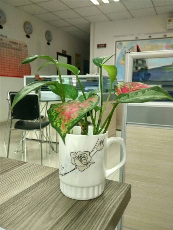 天花喇叭 天花喇叭