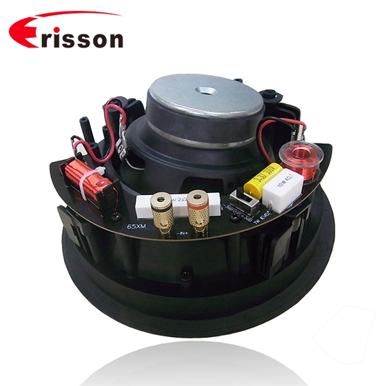 6.5寸吸頂式天花喇叭 6.5寸吸頂式天花喇叭