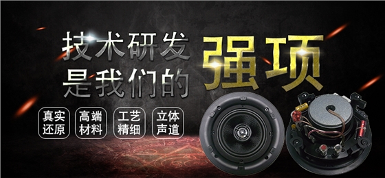 5.25寸天花揚(yáng)聲 5.25寸天花揚(yáng)聲