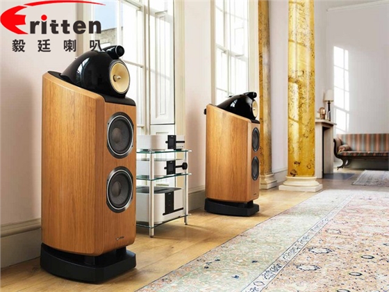 揚聲器生產(chǎn)廠家 揚聲器生產(chǎn)廠家