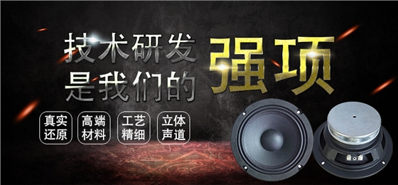 6.5寸中高音舞臺音箱喇叭 6.5寸中高音舞臺音箱喇叭