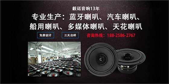 揚聲器廠家 揚聲器廠家