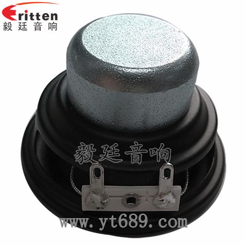 2寸8W內(nèi)磁全頻喇叭