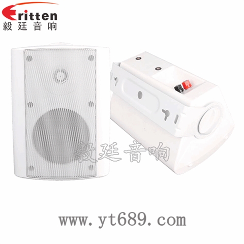 4寸25芯掛壁音箱喇叭
