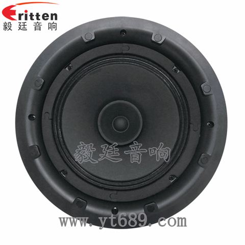 8寸25芯20瓦天花全頻喇叭
