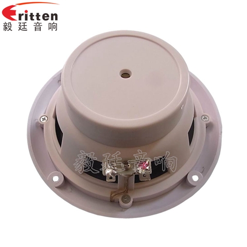 5寸輪船揚聲器廠家