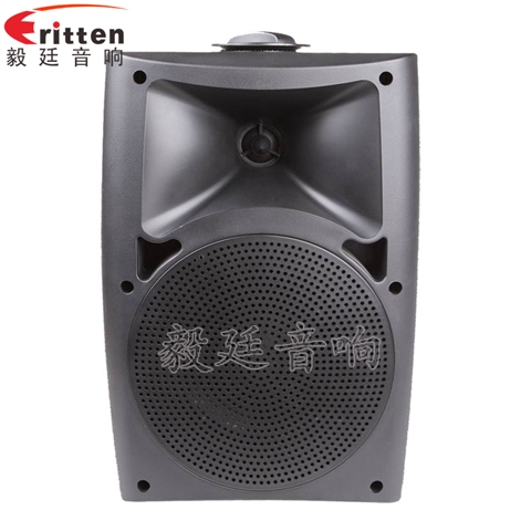 5.25寸墻壁音箱 5.25寸墻壁音箱