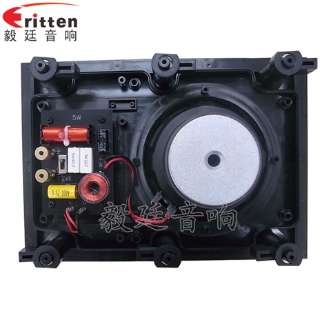 5.25寸2路墻壁喇叭