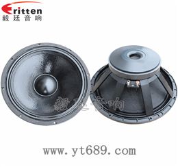 18寸專(zhuān)業(yè)舞臺(tái)音箱喇叭