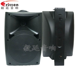 6.5寸墻壁音箱喇叭