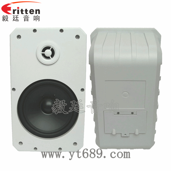 10寸專業(yè)音箱喇叭正反面 8''中低音舞臺(tái)音箱喇叭廠家正反面