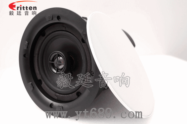 8''250w 重低音喇叭正面圖