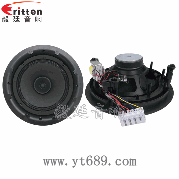 8寸25芯20瓦全頻喇叭正反面 58mm20芯8瓦內(nèi)磁全頻喇叭正反面