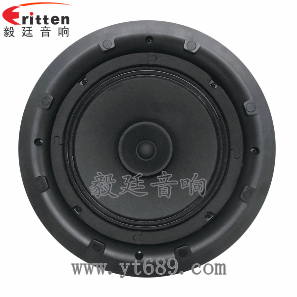 58mm20芯8瓦內(nèi)磁全頻喇叭正面圖