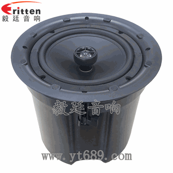 8''250w 重低音喇叭正面圖