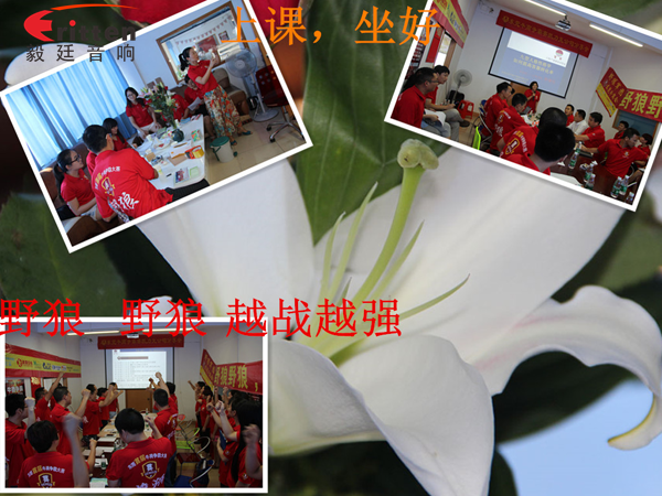 毅廷喇叭廠參與跟著野狼越戰(zhàn)越強,金光閃閃的錢阿~錢