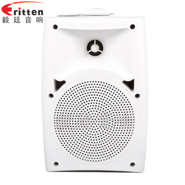 8''中低音舞臺(tái)音箱喇叭廠家正面圖