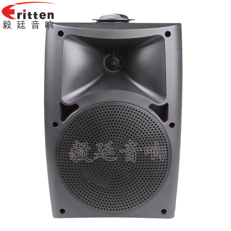 8''中低音舞臺(tái)音箱喇叭廠家正面圖
