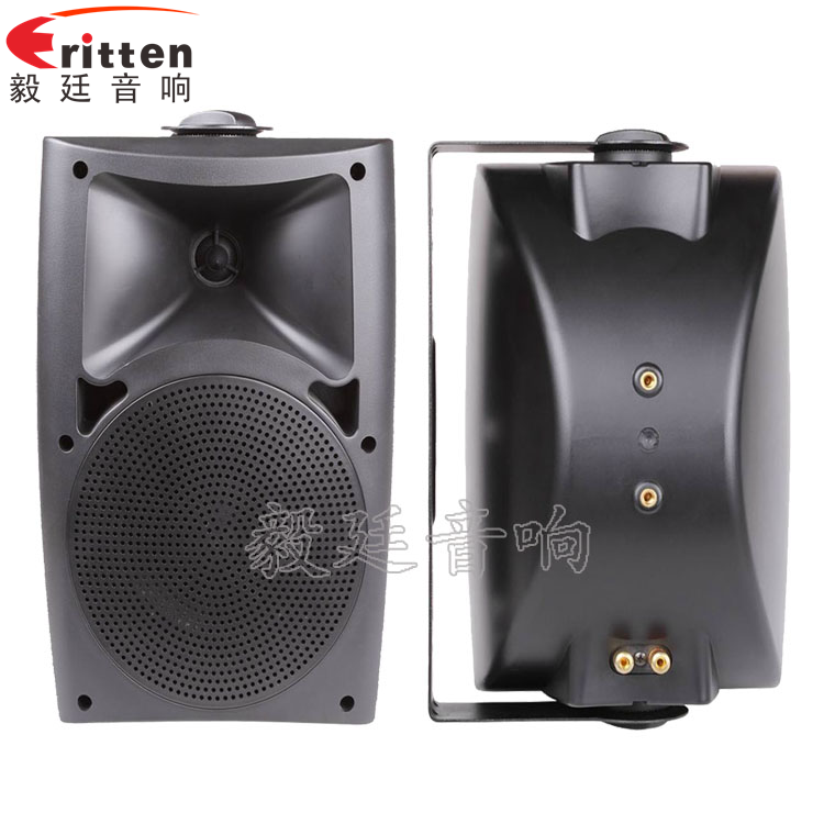 8''中低音舞臺(tái)音箱喇叭廠家正反面