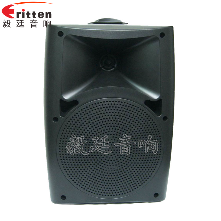 8''中低音舞臺(tái)音箱喇叭廠家正面圖