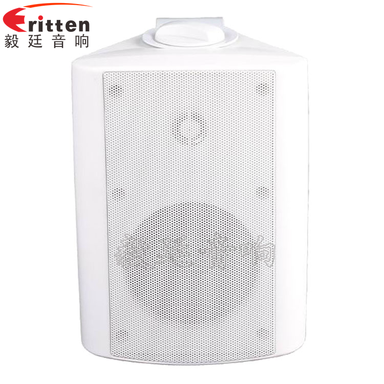 8''中低音舞臺(tái)音箱喇叭廠家正面圖