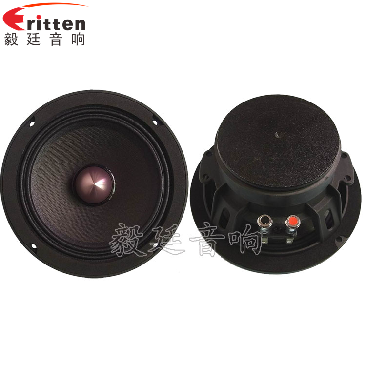 毅廷喇叭廠教如何更好養(yǎng)護(hù)喇叭