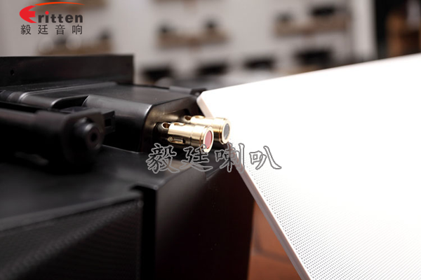 8''250w 重低音喇叭正反面