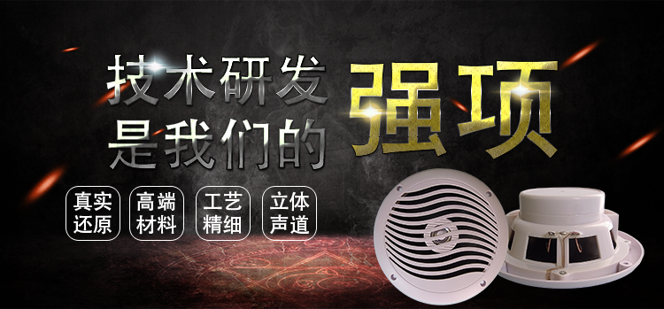 6.5寸PP盆/橡膠邊稀土高強(qiáng)磁25.5芯60W全頻船用音箱喇叭 6.5寸PP盆/橡膠邊稀土高強(qiáng)磁25.5芯60W全頻船用音箱喇叭