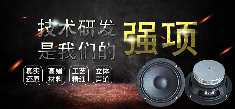 6.5寸中高音舞臺音箱喇叭